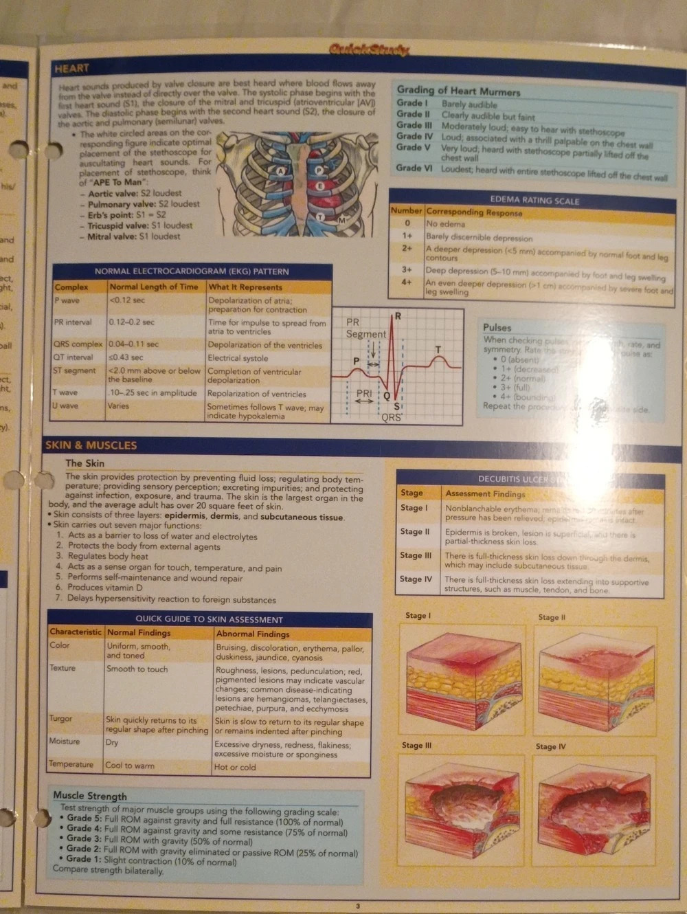 Quick Study Academic Nursing Reference Guide - Picture 5 of 7